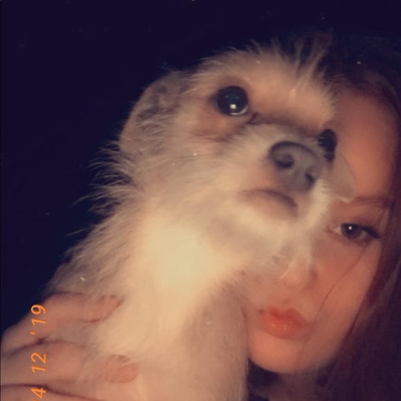 Meet your Posher, Katelyn - Picture 1 of 1